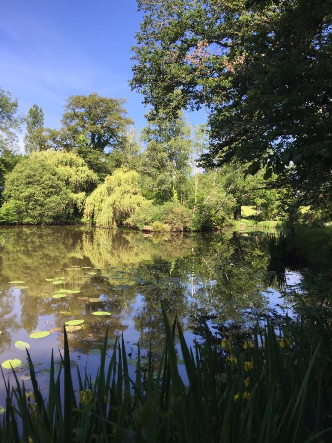 Le Gite Du Petit Renard: A Tranquil Gite With Pool Oradour-Saint-Genest Zewnętrze zdjęcie